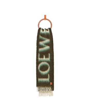 LOEWE - Echarpe en laine et mohair vert/blanc sur le site 